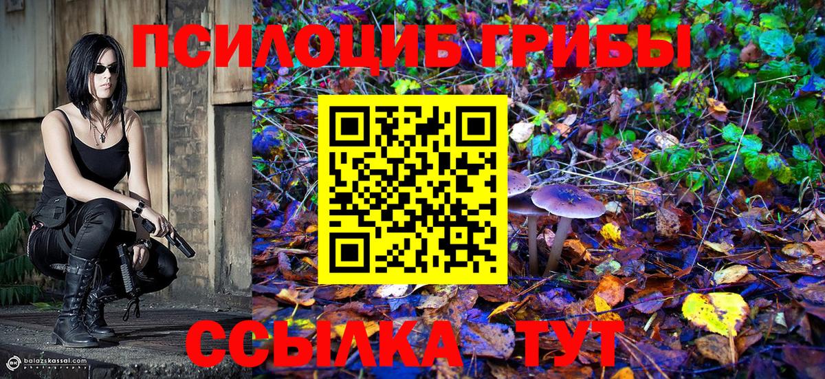 Псилоцибиновые грибы мухоморы Нефтекамск