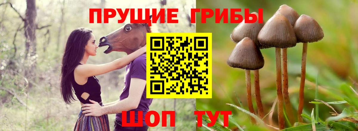 Галлюциногенные грибы мухоморы  как найти закладки  Нефтекамск  Галлюциногенные грибы мухоморы  Вход с VPN 